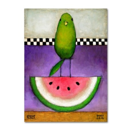 Daniel Patrick Kessler 'Watermelon Bird' Canvas Art,35x47